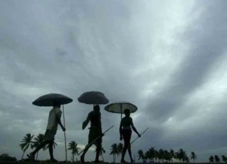 മഴ കനത്തേക്കും, ഇടിമിന്നലിനും സാധ്യത; 11 ജില്ലകളിൽ യെല്ലോ അലർട് Yellow alert in Kerala