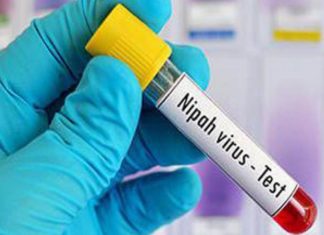 Nipah Virus