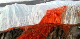 രക്തം ചിന്തുന്ന വെള്ളച്ചാട്ടം; അന്റാർട്ടിക്കയിലെ അൽഭുതം Kauthuka Vartha