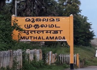 മുതലമടയിലെ ആദിവാസി യുവാക്കളുടെ തിരോധാനം; അന്വേഷണം തമിഴ്നാട്ടിലേക്ക് muthlamada-palakkad