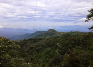 ഏലപ്പീടികയിൽ സാമൂഹ്യ വിരുദ്ധരുടെ ശല്യം; വ്യൂ പോയിന്റിലേക്കുള്ള വഴി അടച്ചു