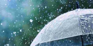 ബുധനാഴ്ച വരെ കനത്ത മഴ; സംസ്ഥാനത്ത് ഇന്ന് 4 ജില്ലകളിൽ യെല്ലോ അലർട് Heavy rain Kerala