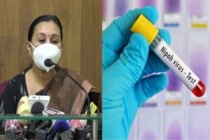 nipah test-result