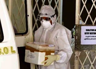 Department of Health seeks source of nipah virus