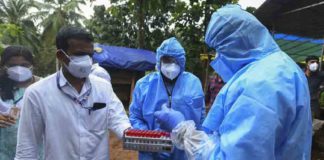 Department of Health seeks source of nipah virus