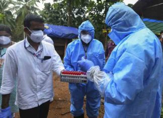 Department of Health seeks source of nipah virus