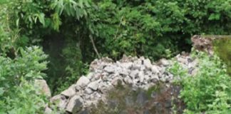 ആനമതിൽ നിർമാണം; ഹൈക്കോടതി ഉത്തരവ് യാഥാർഥ്യത്തിലേക്ക്