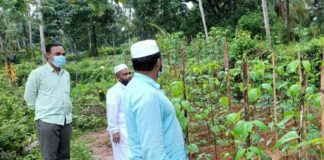 เดเดธเตโเดตเตเดเดธเตโ ‘เดเตเดทเดฟเดเดพเดดเตโเด’ เดเดจเตเดจเต SYS 'Krishikazhcha' today