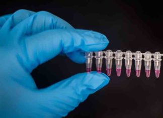 Nipah-Virus in Kozhikode