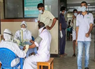 നിപ; ആശങ്കയൊഴിയുന്നു, അഞ്ച് പേരുടെ പരിശോധനാ ഫലം നെഗറ്റീവ് Nipah Virus