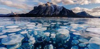 അബ്രഹാം തടാകത്തിലെ തണുത്തുറഞ്ഞ കുമിളകൾ; മനോഹരം ഈ കാഴ്ച