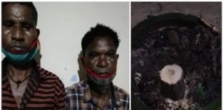 sandalwood theft-wayanad