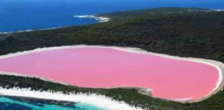 അൽഭുതമായി പിങ്ക് തടാകം; ഇന്നും ചുരുളഴിയാത്ത രഹസ്യം Kauthuka Vartha