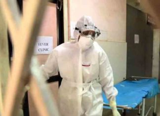 Nipah-Virus