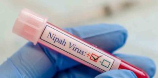 Nipah Virus
