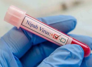 Nipah Virus