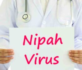 Nipah-Virus