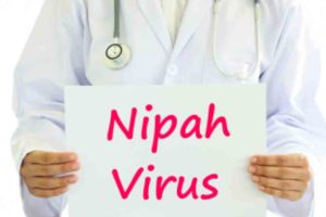 Nipah-Virus