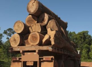 เดชเดฐเดฟเดถเตเดงเดจเดฏเดฟเดฒเตเดฒ; เดเดฟเดฒเตเดฒเดฏเดฟเดฒเตโ เดตเตเดฏเดพเดชเดเดฎเดพเดฏเดฟ เดฎเดฐเด เดเดเดคเตเดคเดฒเตโ timber-smuggling