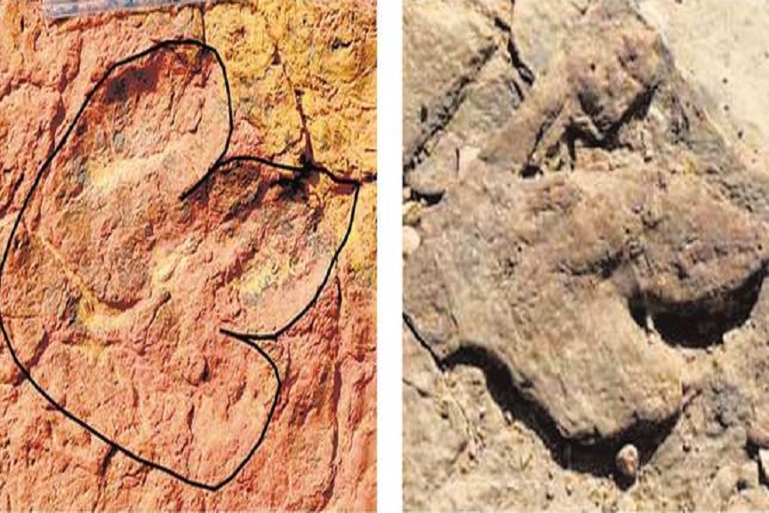 Dino-footprints Dino-footprints