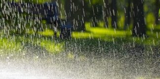 കാലവർഷം; വയനാട്ടിൽ 37 ശതമാനം മഴയുടെ കുറവ് രേഖപ്പെടുത്തി