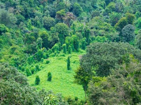 vayalada-kozhikode