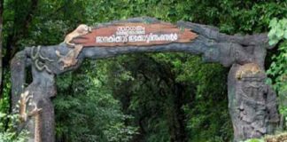 Janakikkad Eco Tourism