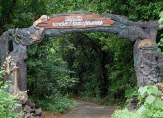 Janakikkad Eco Tourism