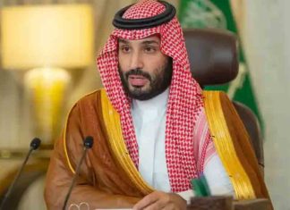 4 lakh fine for cutting down trees without permission in Saudi