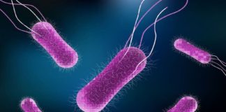 പൂക്കോട് വെറ്റിനറി കാമ്പസ്; വിദ്യാർഥികൾക്ക് ടൈഫോയ്ഡ് Students Affected Typhoid In Pookkod College Campus