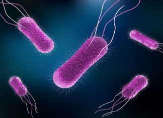 Students Affected Typhoid In Pookkod College Campus