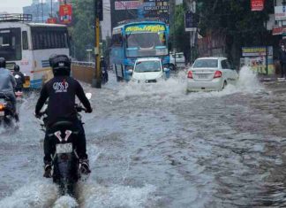 അങ്കമാലിയിൽ ശക്തമായ കാറ്റും മഴയും; വ്യാപക നാശനഷ്ടം kerala rain alert
