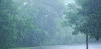 Rain In Kerala