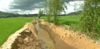 അശാസ്ത്രീയ തോട് നിർമാണം; വരമ്പുകൾ ഇടിയുന്നു-പരാതിയുമായി കർഷകർ Unscientific shell construction