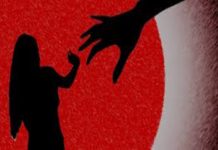 Malayalam Actress Molestation Case