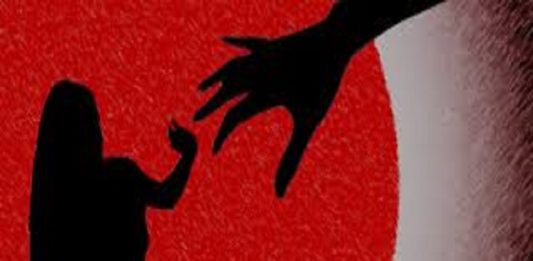 Malayalam Actress Molestation Case