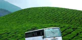 ബത്തേരി-മൂന്നാർ വിനോദയാത്ര; ടൂർ പാക്കേജുമായി കെഎസ്ആർടിസി KSRTC Thamarassery Depot