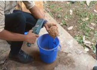 ആറളം സ്കൂളിൽ ബോംബുകൾ കണ്ടെത്തിയ സംഭവം; പോലീസ് അന്വേഷണം ആരംഭിച്ചു bomb found in kannur