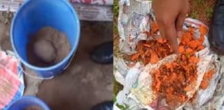 bomb found in kannur