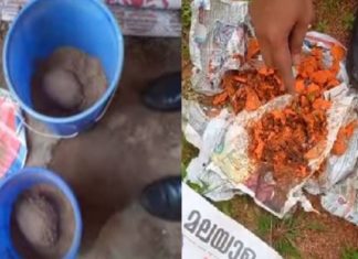 ആറളം സ്കൂളിൽ ശുചീകരണത്തിനിടെ ബോംബുകൾ കണ്ടെത്തി bomb found in kannur