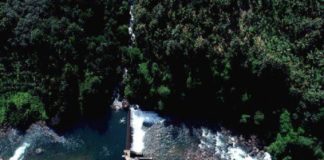 സിയാൽ ജലവൈദ്യുത ഉൽപ്പാദന രംഗത്തേക്ക്; അരിപ്പാറയിലെ നിലയം നവംബർ ആറിന് തുറക്കും hydropower sector at Arippara