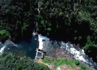 hydropower sector at Arippara