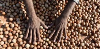 അനധികൃതമായി കടത്താൻ ശ്രമിച്ച ലക്ഷങ്ങൾ വിലയുള്ള അടയ്ക്ക പിടിച്ചെടുത്തു Areca Nut Seized