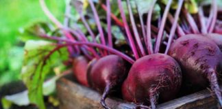 ബീറ്റ്റൂട്ട് അത്ര നിസ്സാരക്കാരനല്ല കേട്ടോ; സൗന്ദര്യ സംരക്ഷണത്തിനും ബെസ്റ്റ് Beetroot _tips