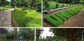 Calicut University Park Will be Open From october 25