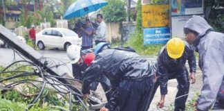 kseb-palakkad-rain