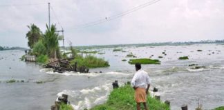 Agriculture Loss Alappuzha