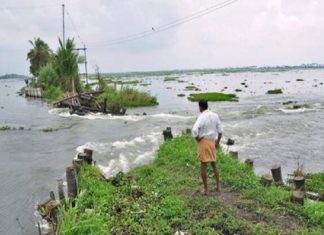 ആലപ്പുഴയിൽ മടവീഴ്ച; 400 ഏക്കർ കൃഷി നശിച്ചു Agriculture Loss Alappuzha