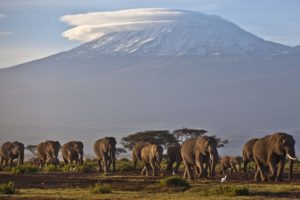 glaciers-in-africa-warning