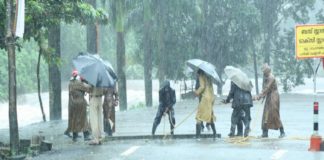 അതിശക്തമായ മഴ; എട്ട് ജില്ലകളിൽ യെല്ലോ അലർട്
